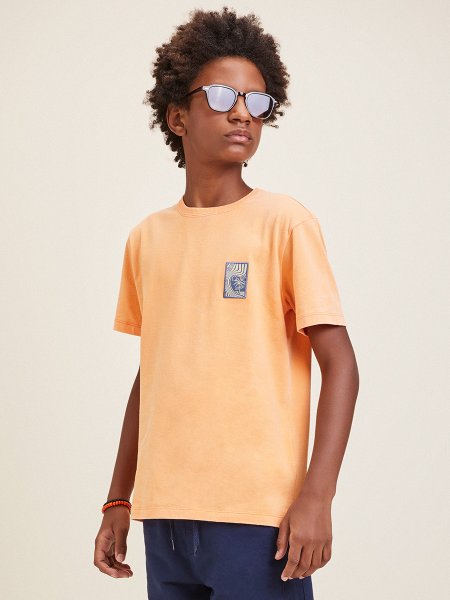 0029 camiseta d1781