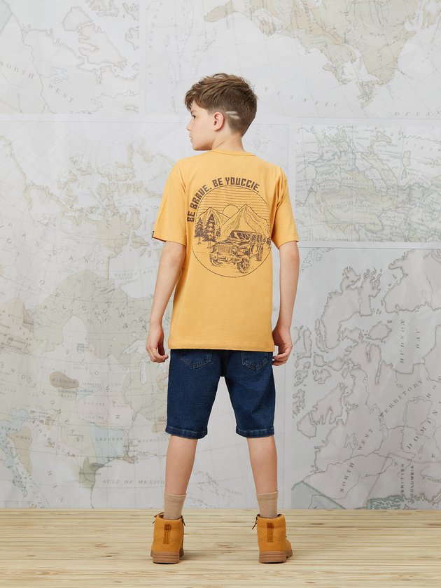 d1503 d1491mcd1492 d1438 04