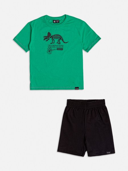 Conjunto Manga Curta de Dinossauro