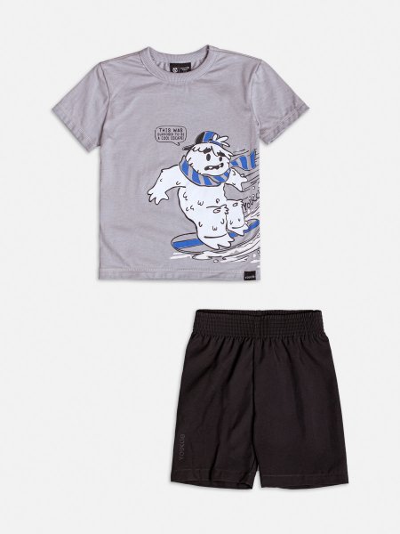 Conjunto Cinza de Snowboard