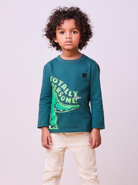 Camiseta Manga Longa com Dinossauro