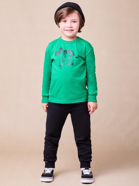 Conjunto Manga Longa de Dinossauro