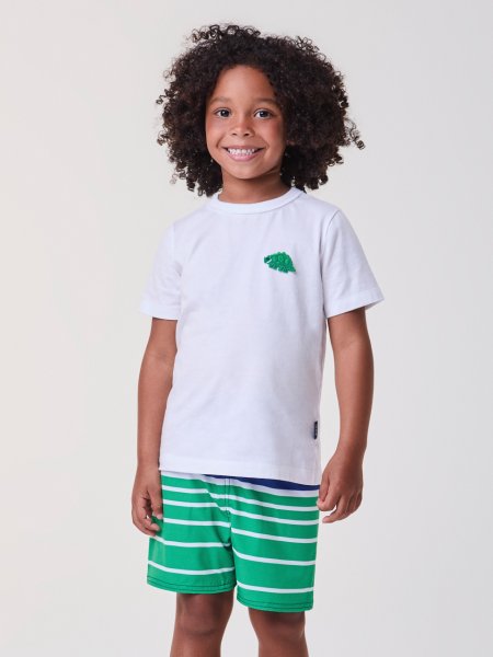 Conjunto de Dinossauro Listrado